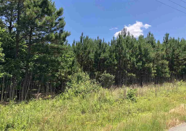 Photo 1 of Sale Pending at 0 Mt Zion Church Rd, Apex, NC 27502 | MLS# 2390228 | Listing updated on 2026-07-18