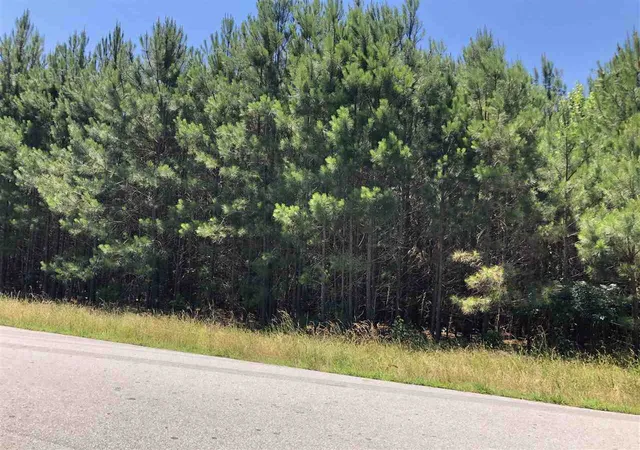 Photo 2 of Sale Pending at 0 0 Mt Zion Church Rd, Apex, NC 27502 | MLS# 2390240 | Listing updated on 2026-07-18