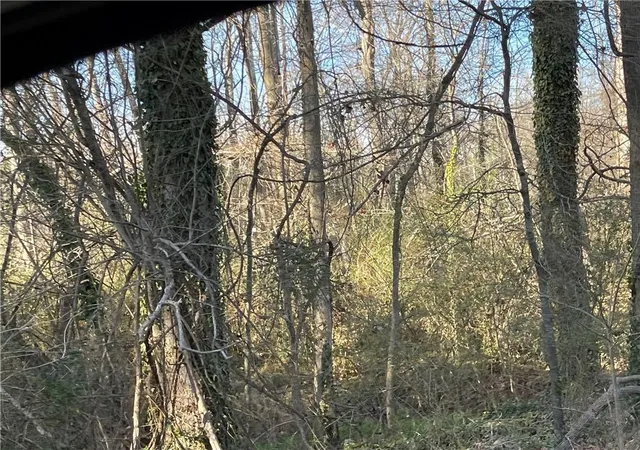 5th image of 3605 W Ten Rd, Efland, NC 27243 | MLS# 126708