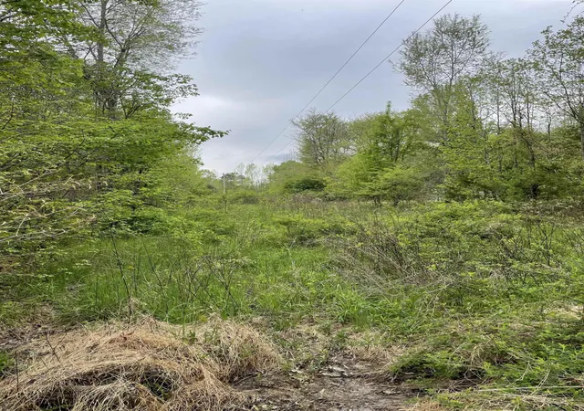 Photo 3 of Sale Pending at 4200 Carr Store Rd, Cedar Grove, NC 27231 | MLS# 2526717 | Listing updated on 2026-07-18
