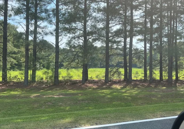 1st image of 3466 Matthews Mill Pond Rd, Angier, NC 27501 | MLS# 2528194