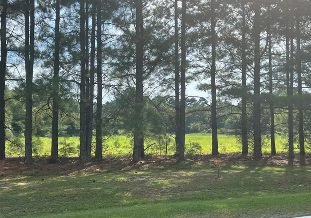 2nd image of 3466 Matthews Mill Pond Rd, Angier, NC 27501 | MLS# 2528194