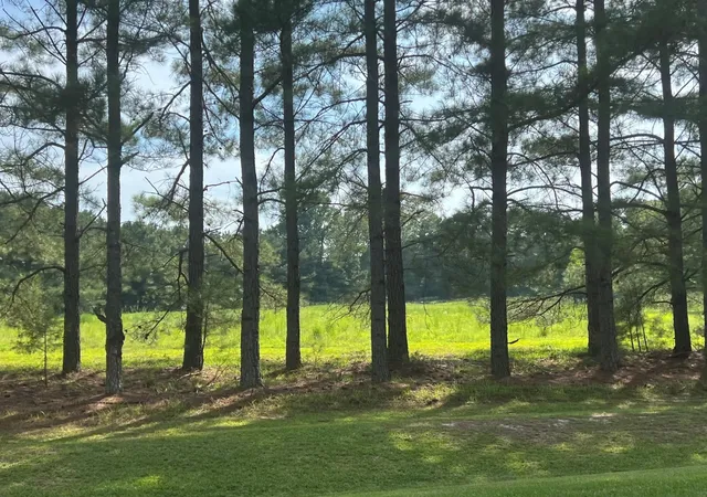 3rd image of 3466 Matthews Mill Pond Rd, Angier, NC 27501 | MLS# 2528194