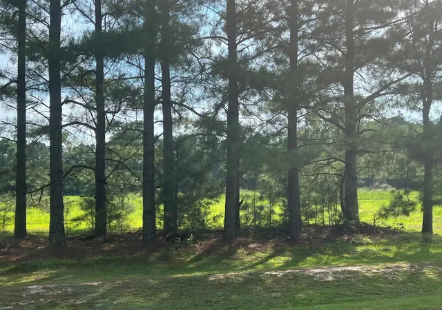 4th image of 3466 Matthews Mill Pond Rd, Angier, NC 27501 | MLS# 2528194