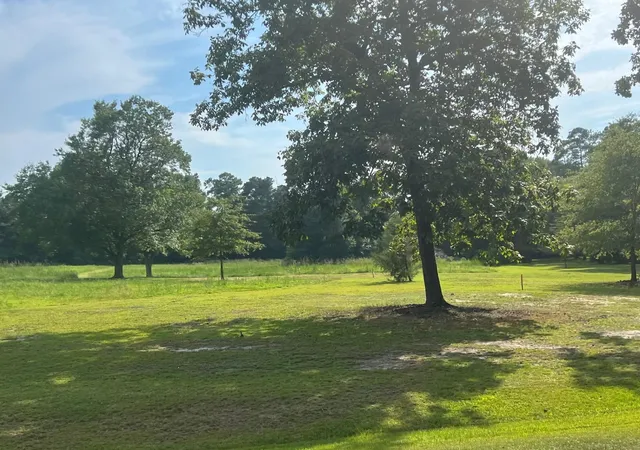 8th image of 3466 Matthews Mill Pond Rd, Angier, NC 27501 | MLS# 2528194