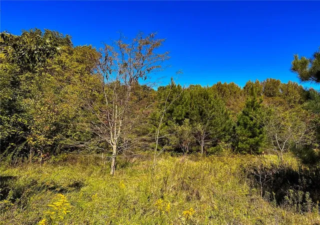 2nd image of 0 Walker Rd, Elon, NC 27244 | MLS# 128719