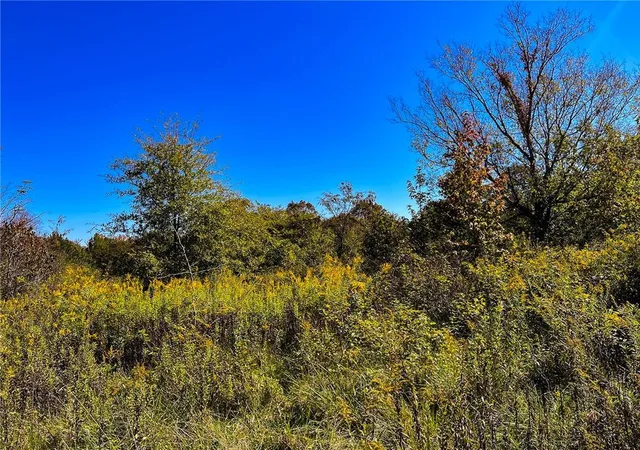 3rd image of 0 Walker Rd, Elon, NC 27244 | MLS# 128719