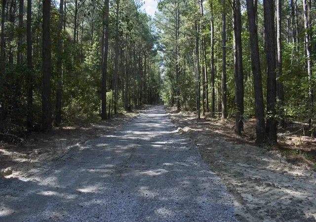 Photo 4 of Sale Pending at 00 Vick Rd, Spring Hope, NC 27882 | MLS# 2539315 | Listing updated on 2026-07-18