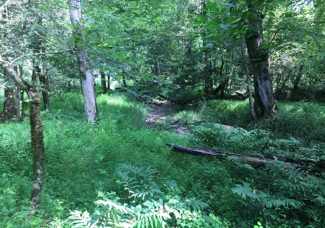 9th image of 00 Vick Rd, Spring Hope, NC 27882 | MLS# 2539315
