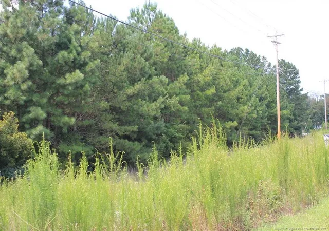 5th image of 5242 Fisher Rd, Fayetteville, NC 28304 | MLS# 709877