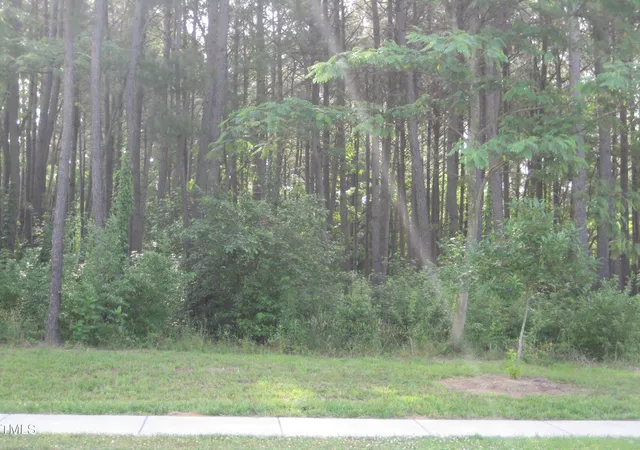 Photo 1 of Land for sale at 0 Us Hwy 1, Youngsville, NC 27596 | MLS# 10005281 | Listing updated on 2026-07-18