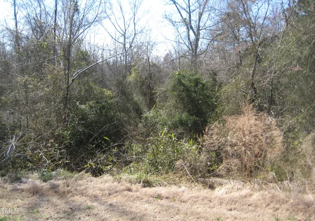 Photo 2 of Land for sale at 0 Us Hwy 1, Youngsville, NC 27596 | MLS# 10005281 | Listing updated on 2026-07-18