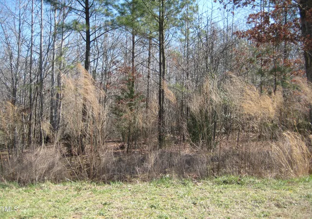 Photo 3 of Land for sale at 0 Us Hwy 1, Youngsville, NC 27596 | MLS# 10005281 | Listing updated on 2026-07-18