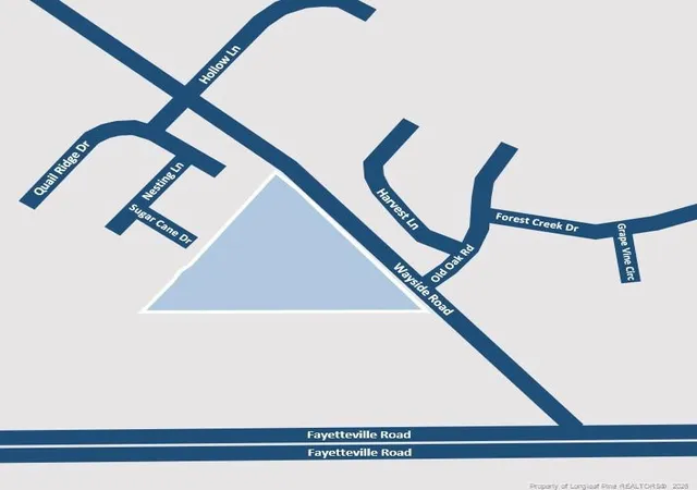 Photo 5 of Land for sale at Fayetteville Rd, Raeford, NC 28376 | MLS# 720086 | Listing updated on 2026-07-18