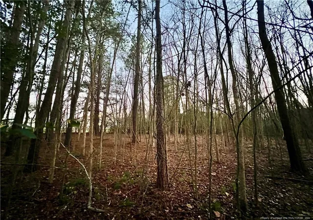 Photo 2 of Sale Pending at 1871 River Rd, Fayetteville, NC 28312 | MLS# 719599 | Listing updated on 2026-07-18