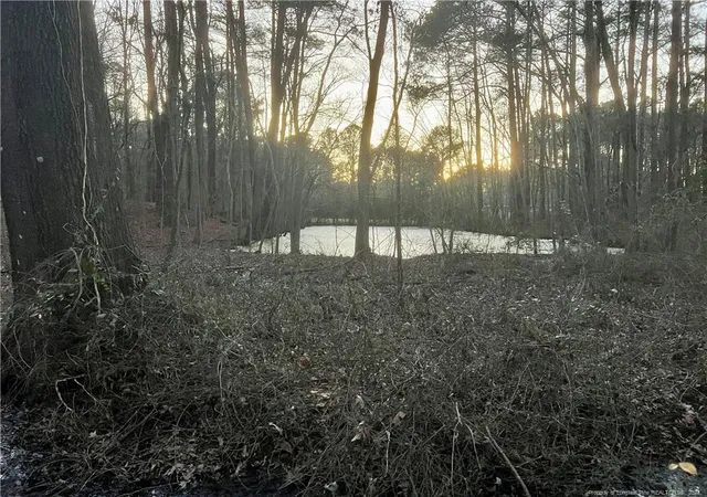 Photo 3 of Sale Pending at 1871 River Rd, Fayetteville, NC 28312 | MLS# 719599 | Listing updated on 2026-07-18