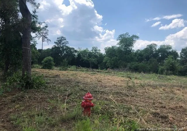 Photo 4 of Land for sale at 6415 Fayetteville Rd, Raeford, NC 28376 | MLS# 723423 | Listing updated on 2026-07-18