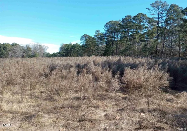 Photo 4 of Sale Pending at 0 Old Us 1 Hwy, New Hill, NC 27562 | MLS# 10032453 | Listing updated on 2026-07-18