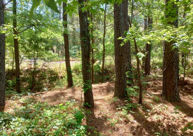 Photo 5 of Sale Pending at 0 Old Us 1 Hwy, New Hill, NC 27562 | MLS# 10032453 | Listing updated on 2026-07-18