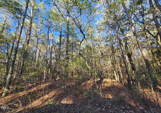 Photo 4 of Sale Pending at 947 Hudsonia Dr, Vass, NC 28394 | MLS# 10035210 | Listing updated on 2026-07-18