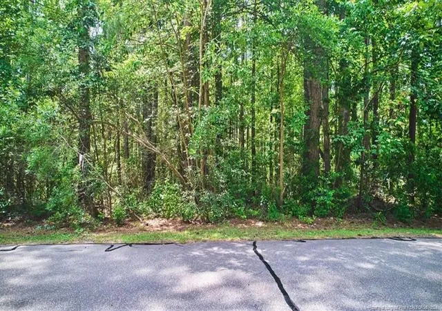 Photo 5 of Land for sale at 16 Lakeshore, Wagram, NC 28396 | MLS# 730279 | Listing updated on 2026-07-18