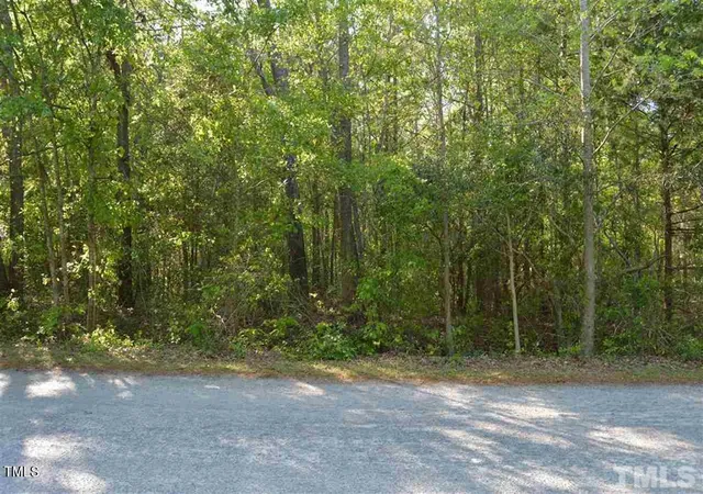 Homes for sale in Erwin, NC | 0 Old Stage Rd S, Erwin, NC 28334 | MLS# 10046621