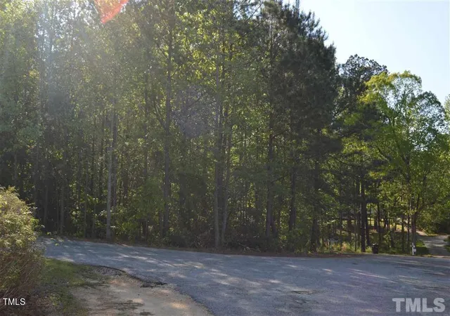 Homes for sale in Erwin, NC | 0 Old Stage Rd S, Erwin, NC 28334 | MLS# 10046621