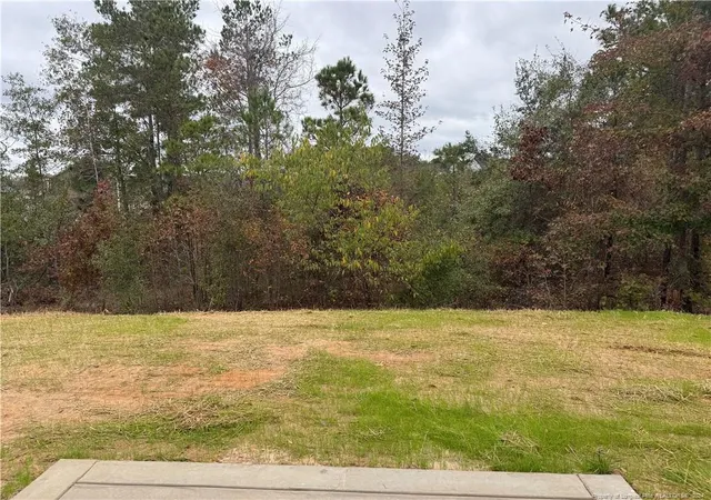 Photo 3 of Sale Pending at 212 Cobra (lot 38) Ln, Raeford, NC 28376 | MLS# 731675 | Listing updated on 2026-07-18