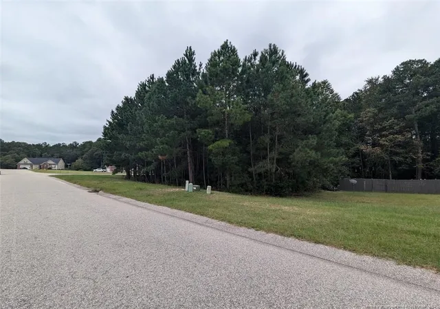 Homes for sale in Raeford, NC | Tbd 282 Falling Leaf Dr, Raeford, NC 28376 | MLS# 732451