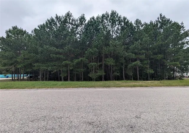 Homes for sale in Raeford, NC | Tbd 282 Falling Leaf Dr, Raeford, NC 28376 | MLS# 732451