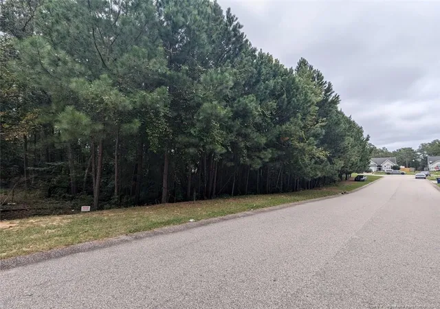 Homes for sale in Raeford, NC | Tbd 282 Falling Leaf Dr, Raeford, NC 28376 | MLS# 732451