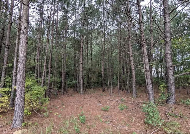 Homes for sale in Raeford, NC | Tbd 282 Falling Leaf Dr, Raeford, NC 28376 | MLS# 732451
