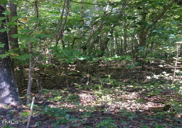 Photo 2 of Land for sale at 00 & 000 Terrell St, Mebane, NC 27302 | MLS# 10059603 | Listing updated on 2026-07-18