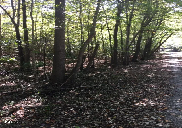 Photo 3 of Land for sale at 00 & 000 Terrell St, Mebane, NC 27302 | MLS# 10059603 | Listing updated on 2026-07-18