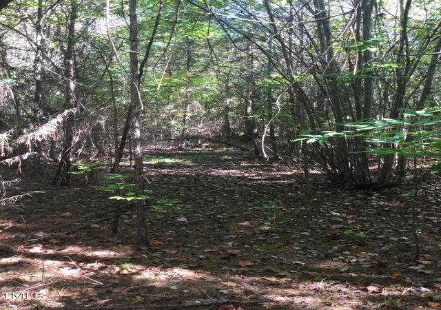 Photo 3 of Land for sale at 00 & 000 Terrell St, Mebane, NC 27302 | MLS# 10059603 | Listing updated on 2026-07-18