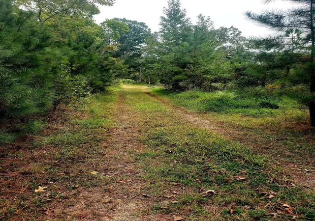 Photo 1 of Land for sale at 1313 Olive Branch Rd, Durham, NC 27703 | MLS# 10060901 | Listing updated on 2026-07-18