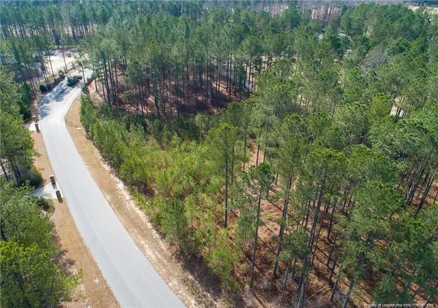 Homes for sale in Spring Lake, NC | 125 Broadlake (647) Ln, Spring Lake, NC 28390 | MLS# 734176