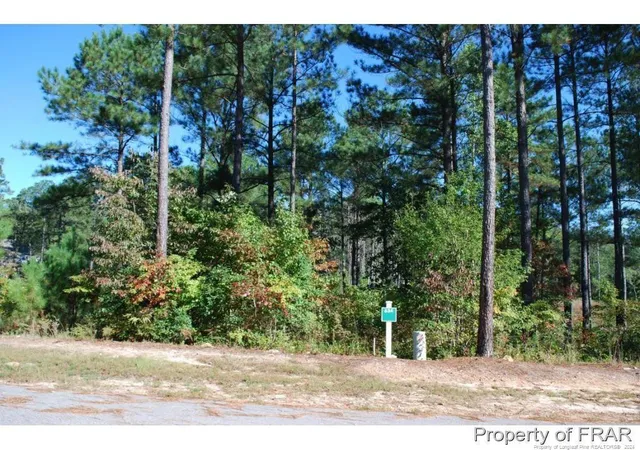 Homes for sale in Spring Lake, NC | 132 Broadlake (634) Ln, Spring Lake, NC 28390 | MLS# 734178