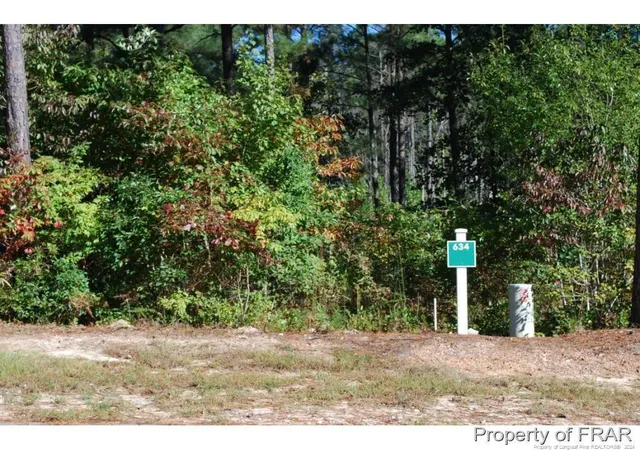 Homes for sale in Spring Lake, NC | 132 Broadlake (634) Ln, Spring Lake, NC 28390 | MLS# 734178
