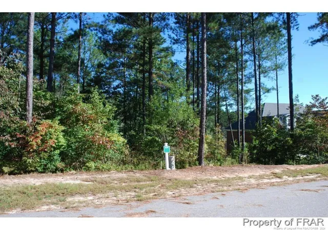 Homes for sale in Spring Lake, NC | 132 Broadlake (634) Ln, Spring Lake, NC 28390 | MLS# 734178