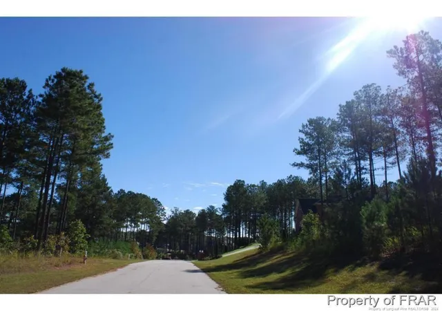 Homes for sale in Spring Lake, NC | 132 Broadlake (634) Ln, Spring Lake, NC 28390 | MLS# 734178