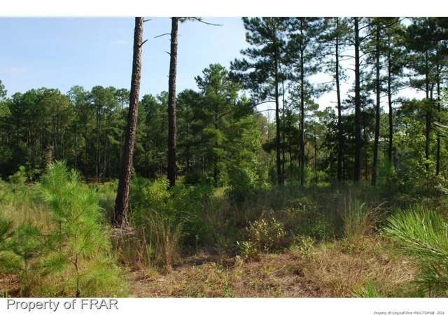 Photo 2 of Land for sale at 182 Broadlake (637) Ln, Spring Lake, NC 28390 | MLS# 734181 | Listing updated on 2026-07-18
