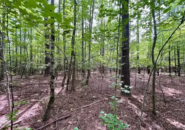Photo 2 of Land for sale at 38 Gordon Ln, Macon, NC 27551 | MLS# 10060898 | Listing updated on 2026-07-18