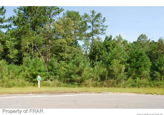 Homes for sale in Spring Lake, NC | 222 Broadlake (639) Ln, Spring Lake, NC 28390 | MLS# 734544