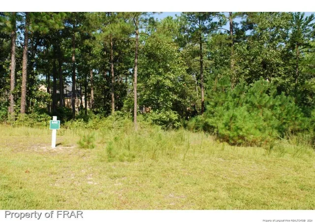 Photo 2 of Land for sale at 232 Broadlake (640) Ln, Spring Lake, NC 28390 | MLS# 734547 | Listing updated on 2026-07-18