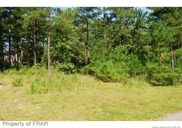 Photo 3 of Land for sale at 232 Broadlake (640) Ln, Spring Lake, NC 28390 | MLS# 734547 | Listing updated on 2026-07-18
