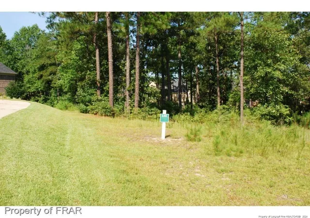 Photo 4 of Land for sale at 232 Broadlake (640) Ln, Spring Lake, NC 28390 | MLS# 734547 | Listing updated on 2026-07-18