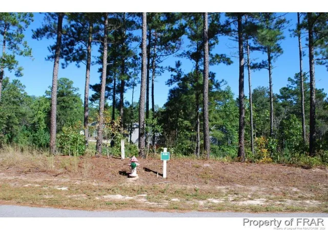 Photo 1 of Land for sale at 162 Broadlake (636) Ln, Spring Lake, NC 28390 | MLS# 734550 | Listing updated on 2026-07-18