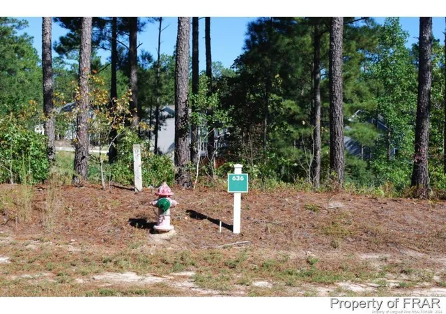 Photo 2 of Land for sale at 162 Broadlake (636) Ln, Spring Lake, NC 28390 | MLS# 734550 | Listing updated on 2026-07-18