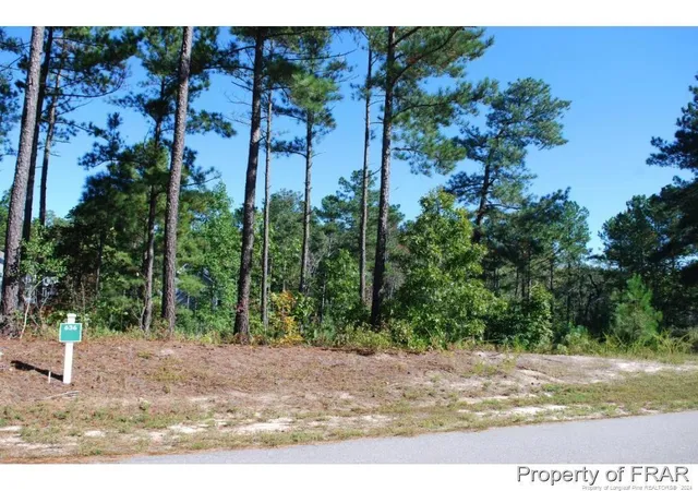 Photo 3 of Land for sale at 162 Broadlake (636) Ln, Spring Lake, NC 28390 | MLS# 734550 | Listing updated on 2026-07-18